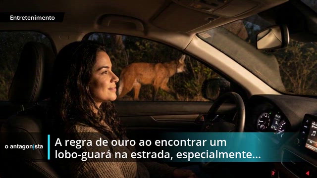 oantagonista