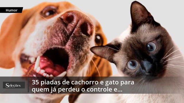 selecoes