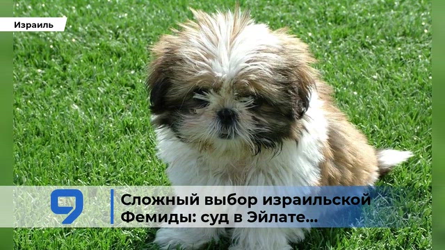 9tv
