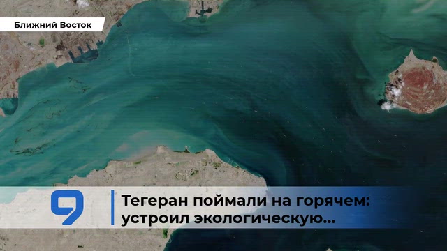 9tv