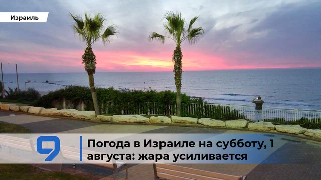 9tv