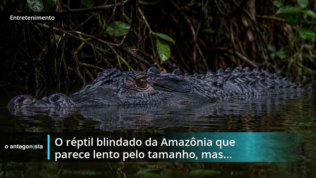 oantagonista