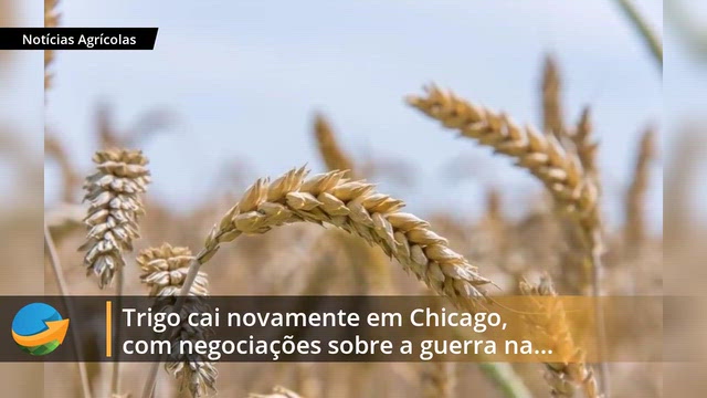noticiasagricolas